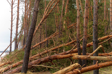 Similar image 21528685