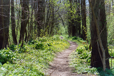 Similar image 21528686