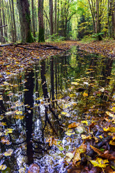 Similar image 21526812