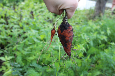 Similar image 21533508