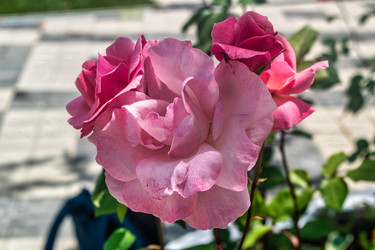 Similar image 21537626