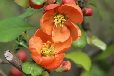 Similar image 21533698