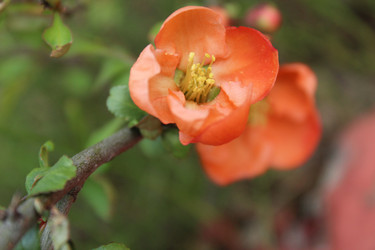 Similar image 21533699