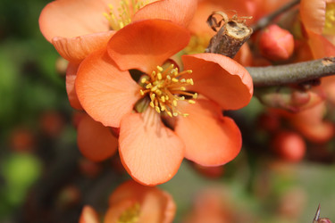 Similar image 21533701