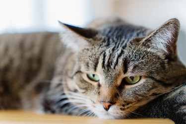 Similar image 21531373