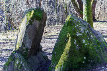 Similar image 21525210