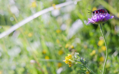 Similar image 21528690