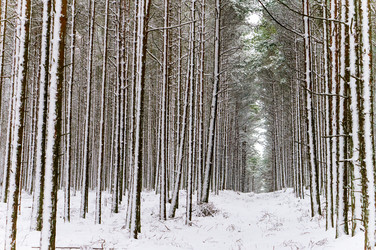 Similar image 21528691