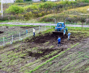 Similar image 21528694