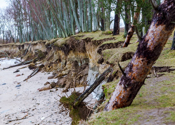 Similar image 21528695