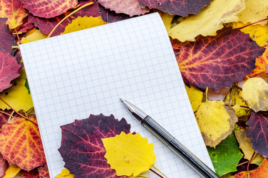 Similar image 21528226