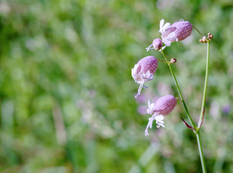 Similar image 21528228