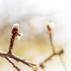 Similar image 21526815