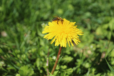 Similar image 21533520