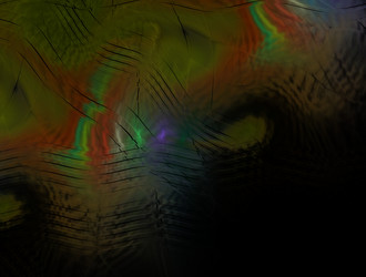 Similar image 21535026