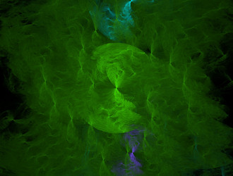 Similar image 21544623