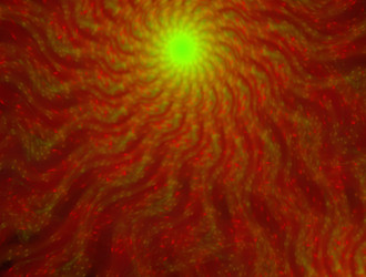 Similar image 21544781