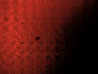 Similar image 21549308