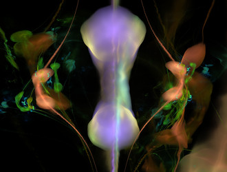 Similar image 21549509