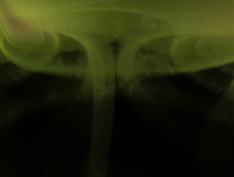 Similar image 21549701