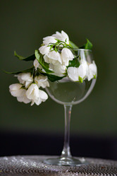 Similar image 21533202