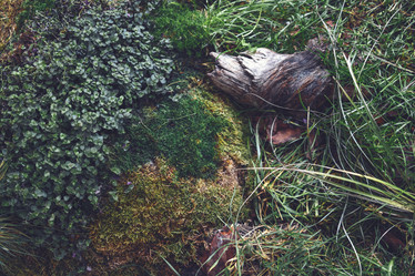 Similar image 21534626