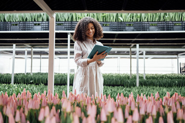 Similar image 21534638