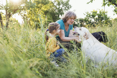 Similar image 21534659