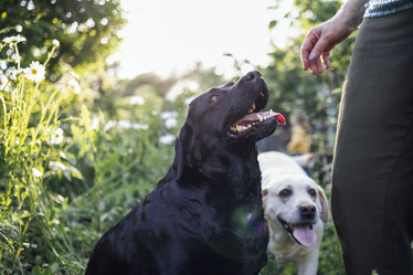 Similar image 21534661