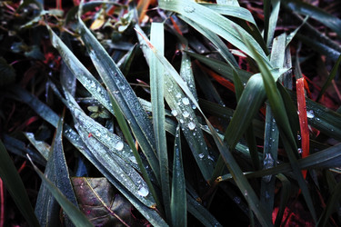 Similar image 21527769