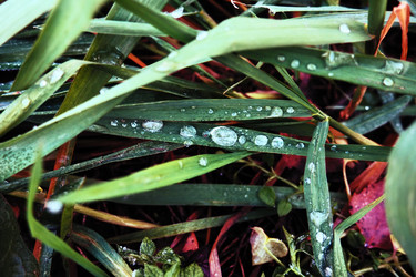 Similar image 21527770