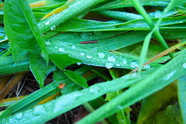 Similar image 21527771