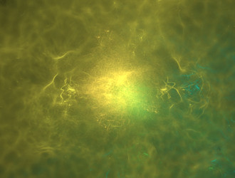 Similar image 21535090