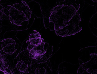 Similar image 21535100