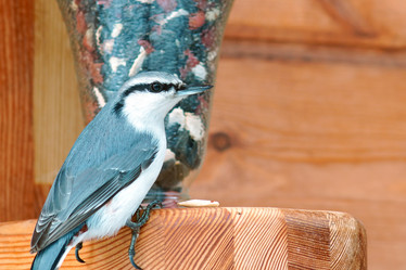 Similar image 21526671