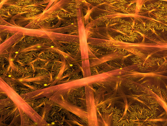 Similar image 21549331