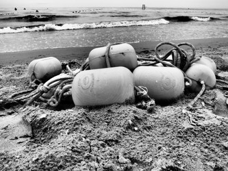 Similar image 21527789