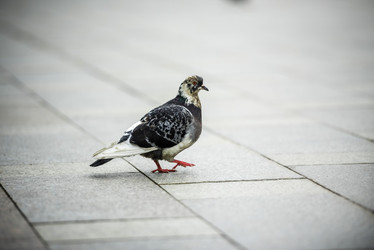 Similar image 21526483