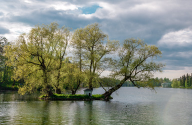 Similar image 21526373