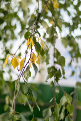 Similar image 21526514