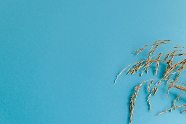 Similar image 21526535