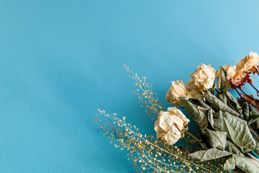 Similar image 21526536