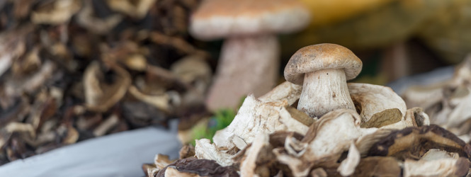 Similar image 21526401