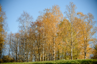 Similar image 21526409