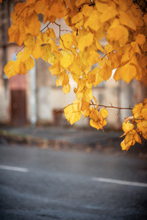 Similar image 21526410