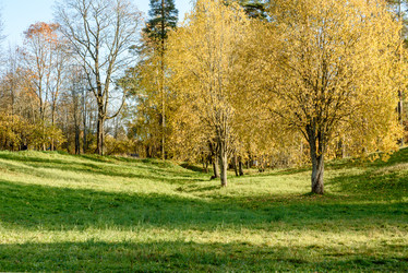 Similar image 21526411