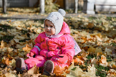 Similar image 21538332