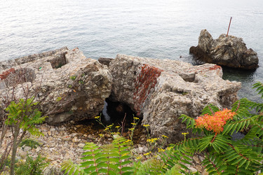 Similar image 21527790