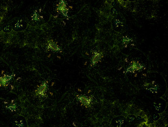 Similar image 21544768