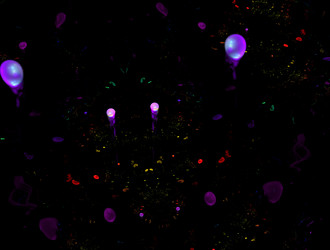 Similar image 21544807